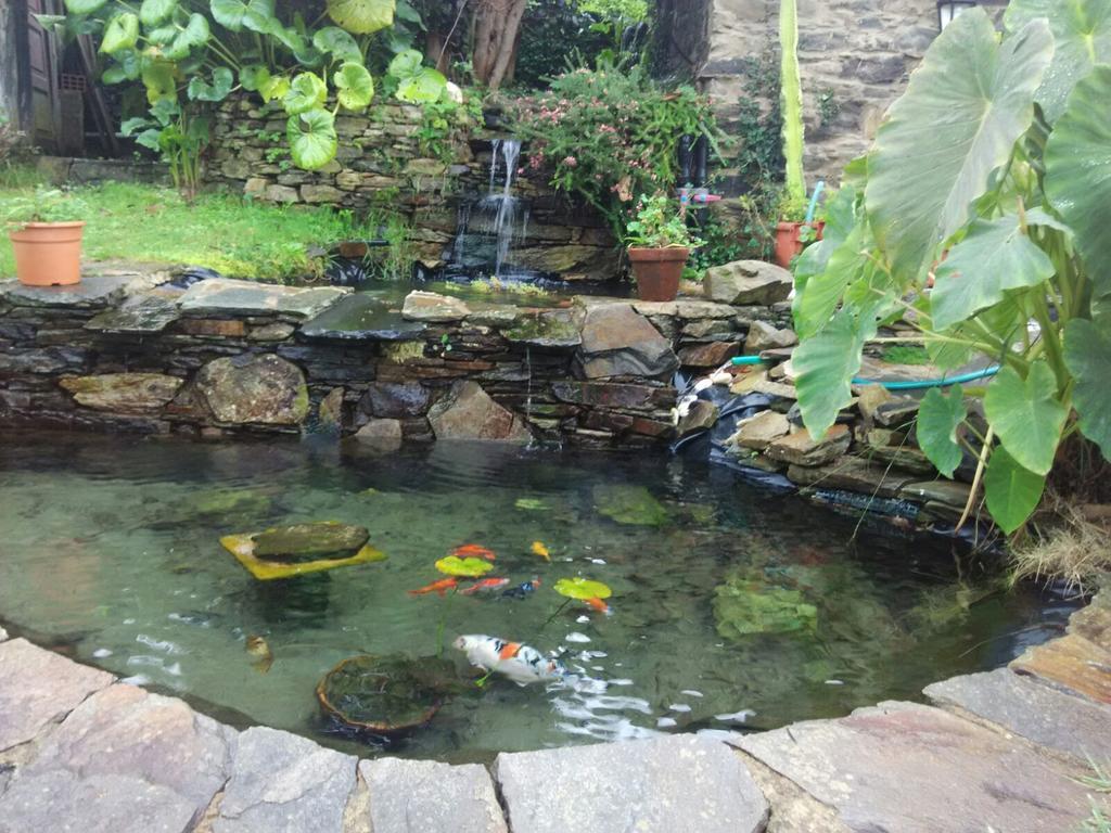 Casa Rural O Carreiro Cedeira Kültér fotó